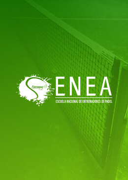 ENEA N3 1 2026