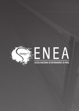ENEA N4 1 2026